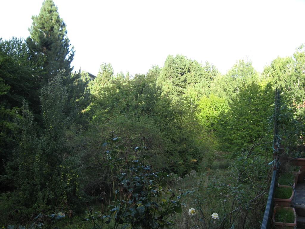 Le Tre Rose Montagna Διαμέρισμα Camigliatello Silano Δωμάτιο φωτογραφία